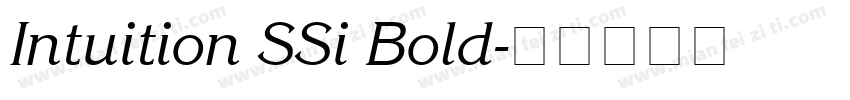 Intuition SSi Bold字体转换